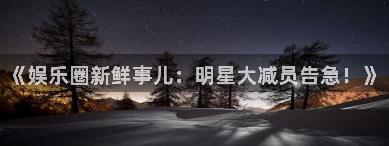 上海杏鑫娱乐汽车电子有限公司