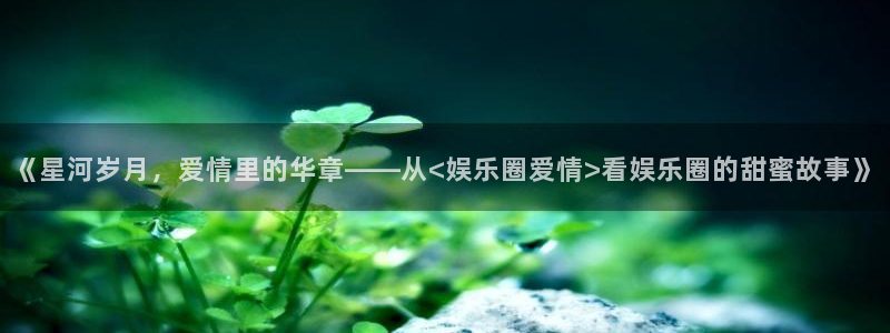 杏鑫娱乐平台在线注册：《星河岁月，爱情里的华章——从<娱乐圈爱情>看娱乐圈的甜蜜故事》