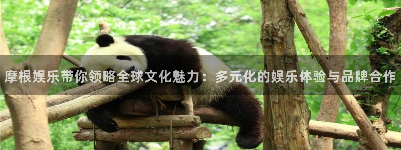 杏鑫娱乐体育平台总代理：摩根娱乐带你领略全球文化魅力：多元化的娱乐体验与品牌合作