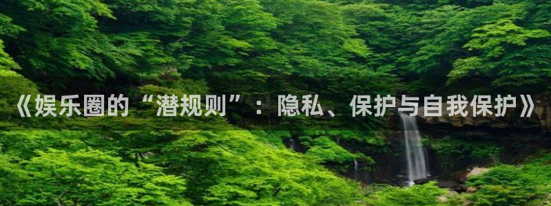 杏鑫娱乐4：《娱乐圈的“潜规则”：隐私、保护与自我保护》