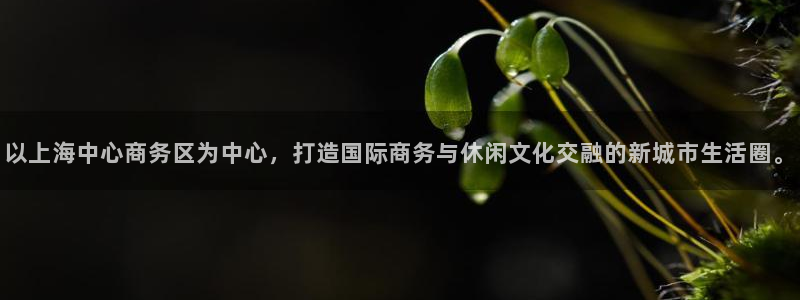 杏鑫娱乐体育凯捷平台注册：以上海中心商务区为中心，打造国际商务与休闲文化交融的新