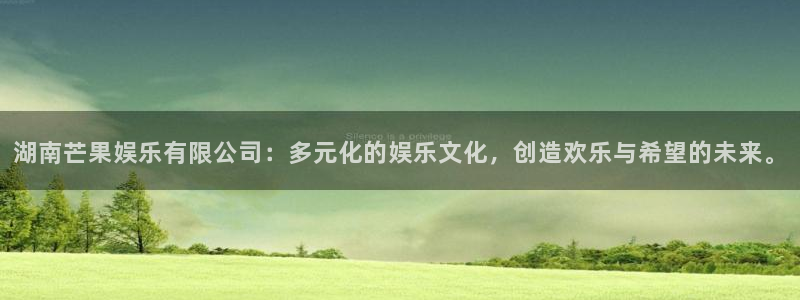 杏鑫娱乐体育官网：湖南芒果娱乐有限公司：多元化的娱乐文化，创造欢乐与希望的未来。