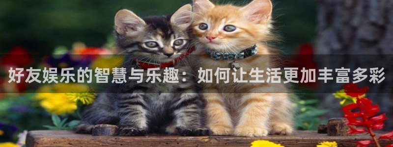 杏鑫娱乐体育eon：好友娱乐的智慧与乐趣：如何让生活更加丰富多彩
