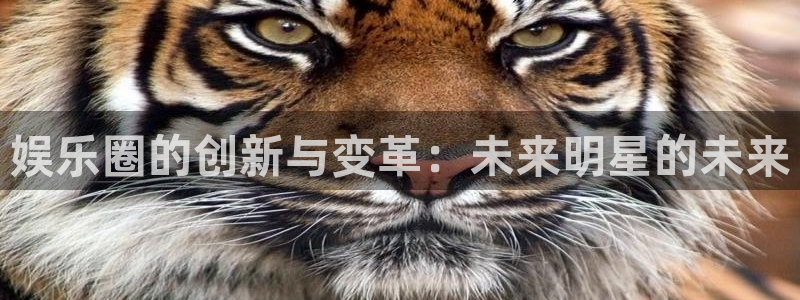 杏鑫娱乐：娱乐圈的创新与变革：未来明星的未来
