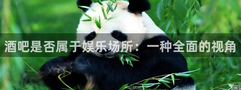 杏鑫娱乐2代理注册：酒吧是否属于娱乐场所：一种全面的视角