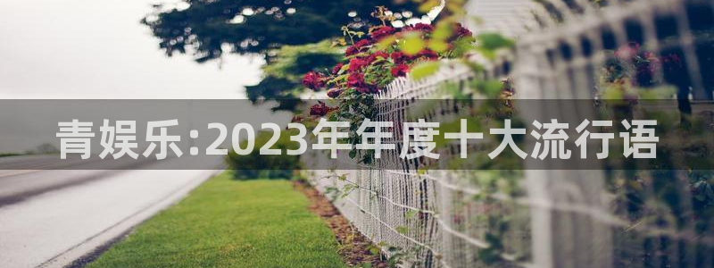 杏鑫娱乐平台开户链接：青娱乐:2023年年度十大流行语