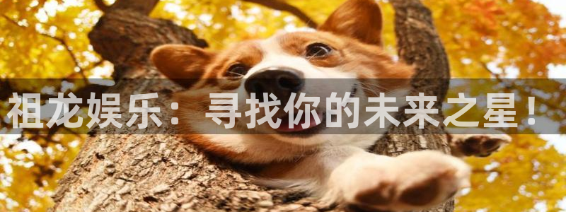 杏鑫娱乐4：祖龙娱乐：寻找你的未来之星！