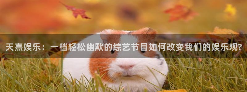 杏鑫娱乐体育在线注册：天熹娱乐：一档轻松幽默的综艺节目如何改变我们的娱乐观?