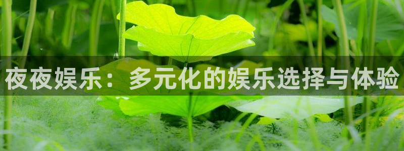 杏鑫娱乐k：夜夜娱乐：多元化的娱乐选择与体验