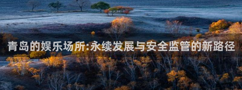 杏鑫娱乐vk：青岛的娱乐场所:永续发展与安全监管的新路径