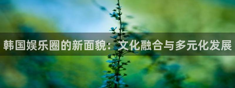 杏鑫娱乐2平台登录：韩国娱乐圈的新面貌：文化融合与多元化发展