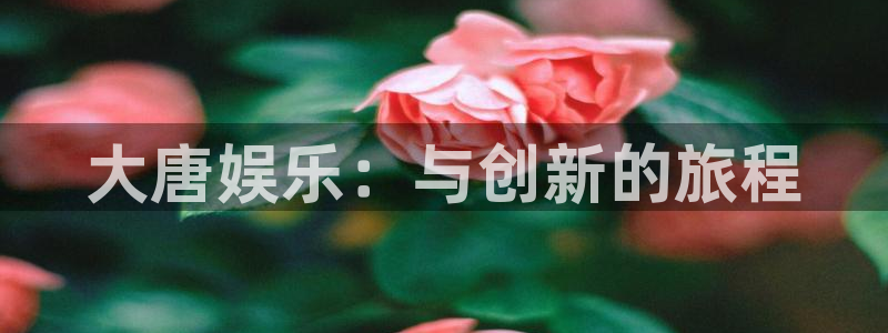 杏鑫娱乐凯捷平台：大唐娱乐：与创新的旅程