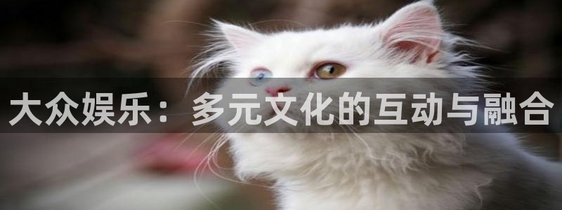 杏鑫娱乐kgame：大众娱乐：多元文化的互动与融合