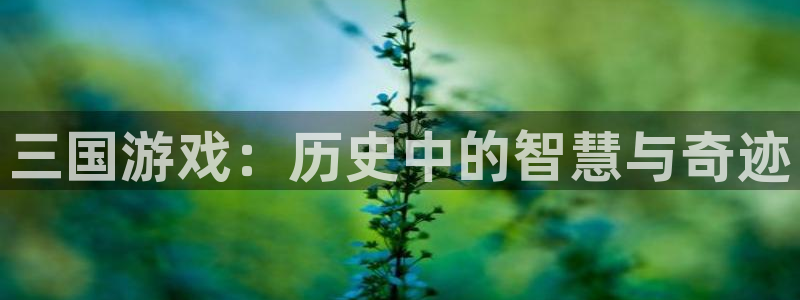 杏鑫娱乐体育免费注册入口：三国游戏：历史中的智慧与奇迹