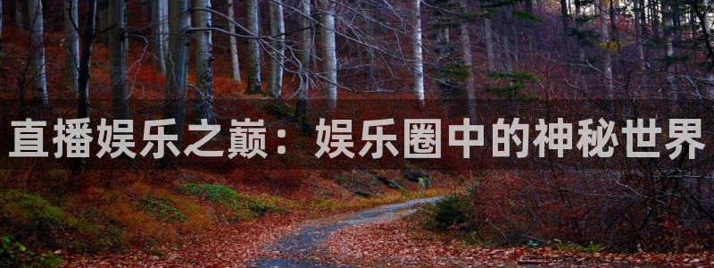 杏鑫娱乐体育凯捷平台注册：直播娱乐之巅：娱乐圈中的神秘世界