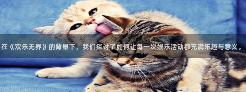 杏鑫娱乐体育eon：在《欢乐无界》的背景下，我们探讨了如何让每一次娱乐活动都充满